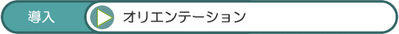 導入