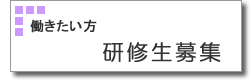 研修生募集